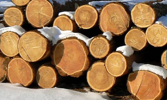 Преимущества зимней древесины